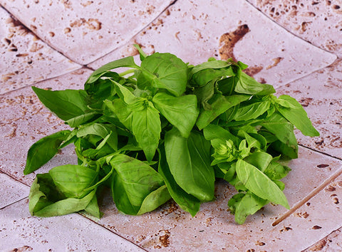 ORGANIC BASIL 15G (#125985)
