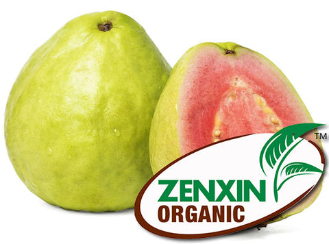 ORGANIC GUAVA (#125822)