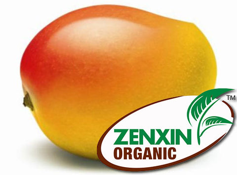 ORGANIC MANGO 400G+/- (#125824)