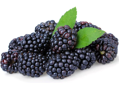 ORGANIC BLACKBERRY 120G (#125966)