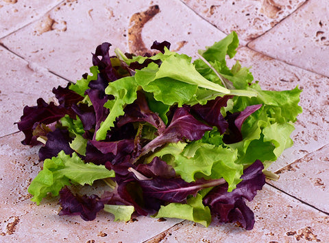 ORGANIC MIXED SALAD 125G (#125963)
