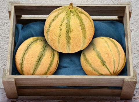 ORGANIC CANTALOUPE 1KG (#121327)