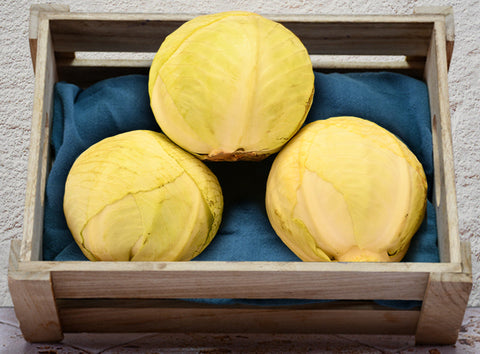 ORGANIC GREEN CABBAGE (#123646)