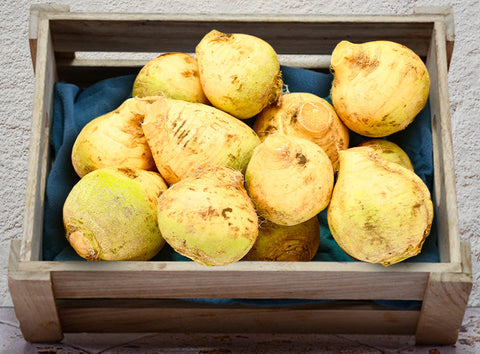 ORGANIC RUTABAGA 0.5KG+/- (#121241)