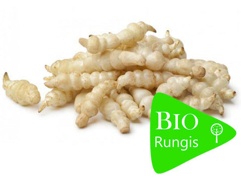 ORGANIC CHINESE ARTICHOKE 1KG (#123661)