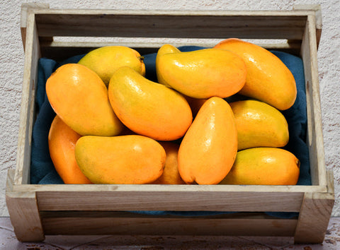 ORGANIC KENT MANGO (#121193)
