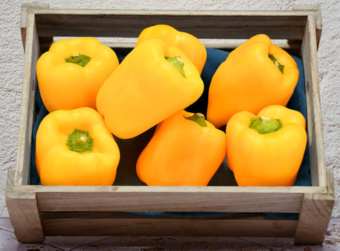 ORGANIC YELLOW CAPSICUM 0.5KG+/- (#121250)