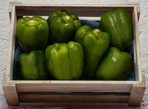 ORGANIC GREEN CAPSICUM 0.5KG+/- (#121230)