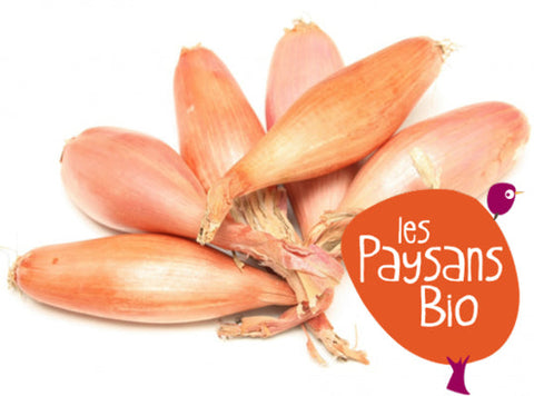 ORGANIC SHALLOT 250G+/- (#123712)