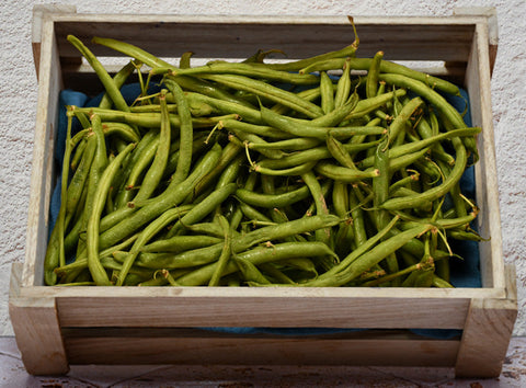 ORGANIC GREEN BEANS 250G (#121359)