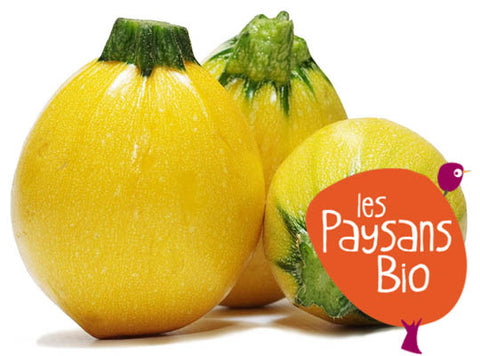ORGANIC YELLOW ROUND ZUCCHINI 1KG (#123651)