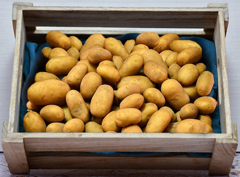 ORGANIC POTATOES NICOLA 1KG (#125313)