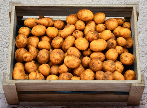 ORGANIC POTATOES OSTARA 1KG (#125321)