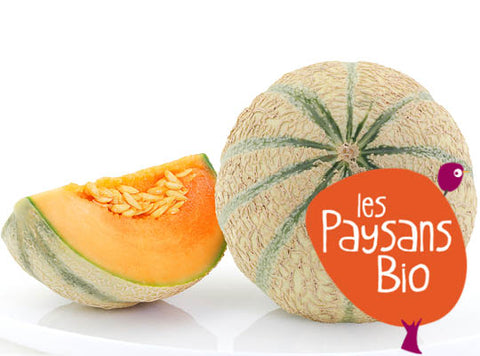 ORGANIC ROCK MELON FROM CHARENTES 800G (#123196)