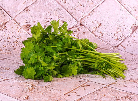 ORGANIC CORIANDER (#121267)
