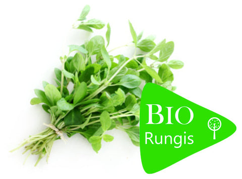 ORGANIC MARJORAM (#121197)