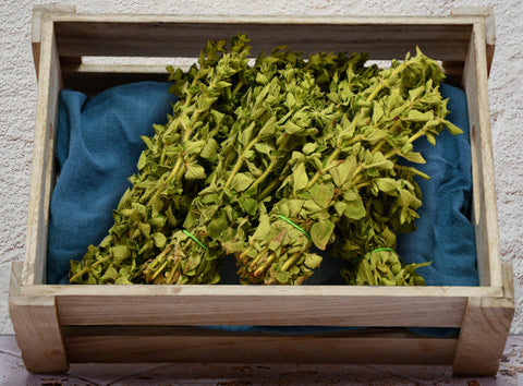 ORGANIC OREGANO (#121198)