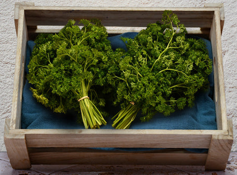 ORGANIC CURLY PARSLEY (#121262)