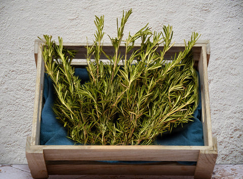 ORGANIC ROSEMARY (#121195)