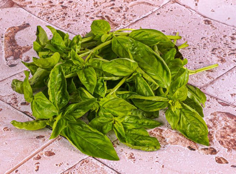 ORGANIC BASIL (#121204)