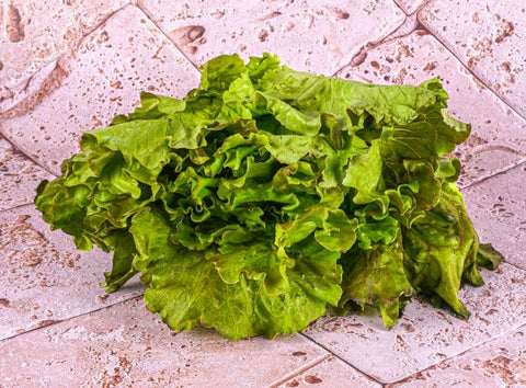 ORGANIC RED BATAVIAN LETTUCE (#121259)