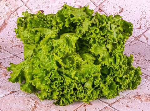 ORGANIC GREEN BATAVIAN LETTUCE (#121257)