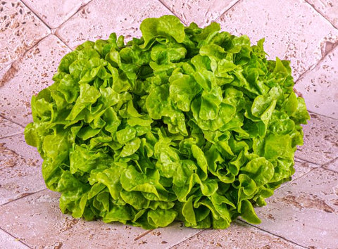 ORGANIC GREEN OAK LEAF LETTUCE (#121256)