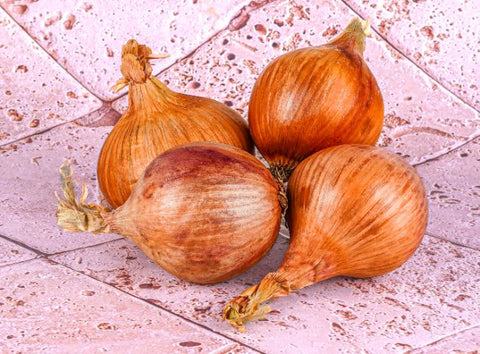 ORGANIC PINK ONION 0.5KG+/- (#121240)