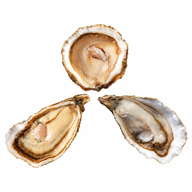 SAINT KERBER TRIO OYSTERS 12PC (