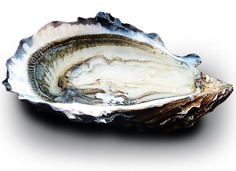 SPECIALES CANCALE OYSTERS NO3X24P 24PC (#128000)