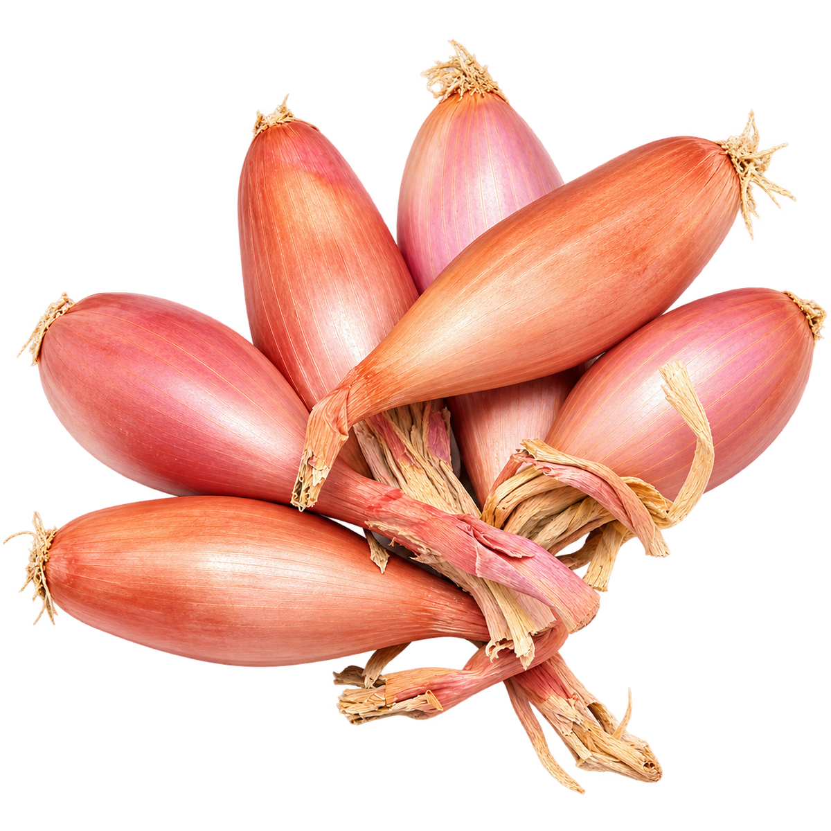 ORGANIC SHALLOT 0.25KG+/- (