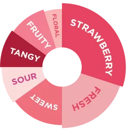 STRAWBERRY FRUIT MIX 1L (