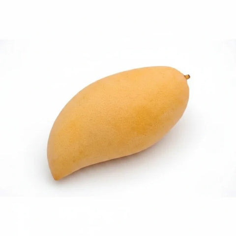 MANGO (#123056)