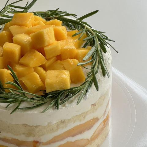 Mango Shortcake (#YENTSV0001)