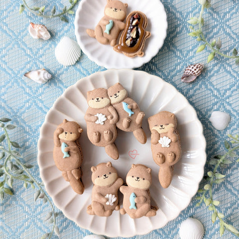 Sea Otter Mocha Macaron Class (#PHYTSV00002)