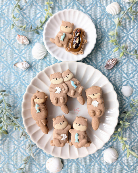 Sea Otter Mocha Macaron Class (#PHYTSV00002)